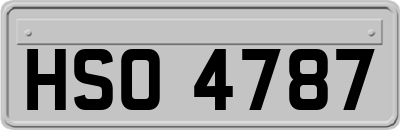 HSO4787