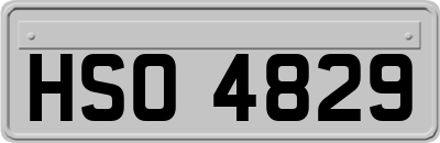 HSO4829