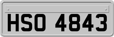 HSO4843