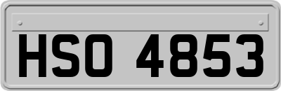 HSO4853