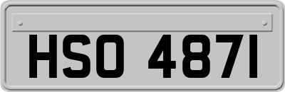 HSO4871