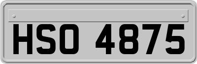 HSO4875