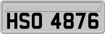 HSO4876