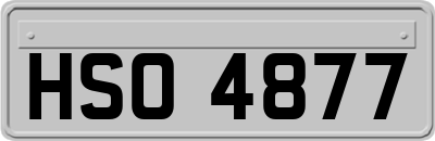 HSO4877
