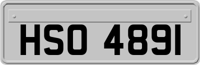 HSO4891