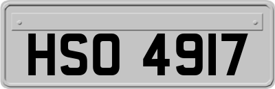 HSO4917