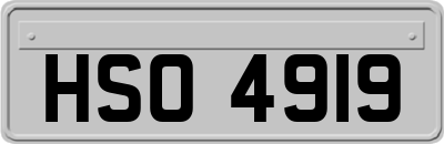 HSO4919