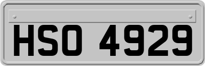HSO4929