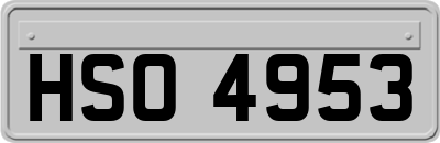 HSO4953