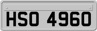 HSO4960