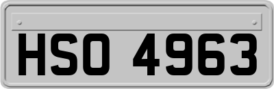 HSO4963