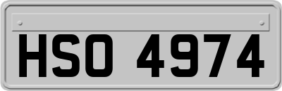 HSO4974