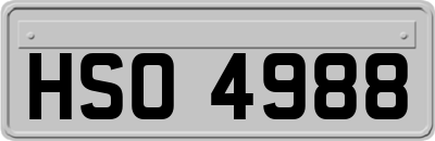 HSO4988