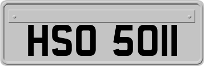HSO5011