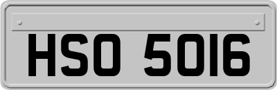 HSO5016