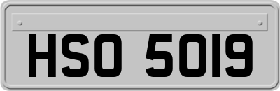 HSO5019
