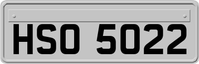 HSO5022