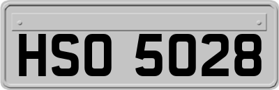 HSO5028