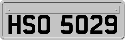 HSO5029