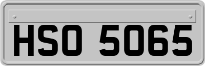 HSO5065
