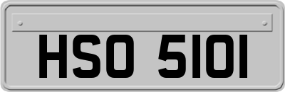 HSO5101