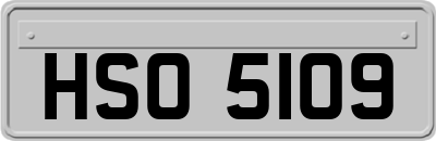 HSO5109