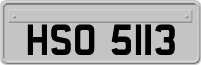 HSO5113