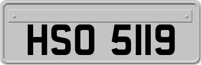 HSO5119