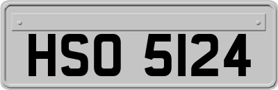 HSO5124