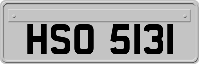HSO5131