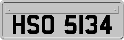 HSO5134
