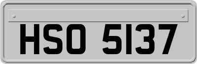 HSO5137