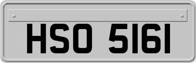 HSO5161