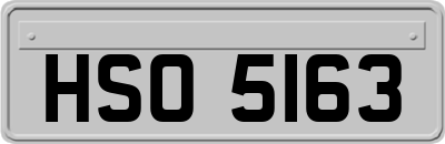 HSO5163