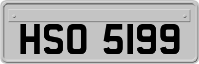 HSO5199