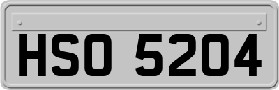 HSO5204