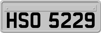 HSO5229