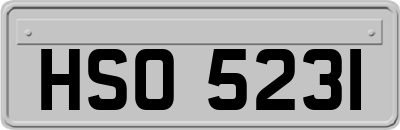 HSO5231