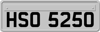 HSO5250