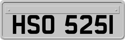HSO5251