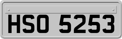 HSO5253