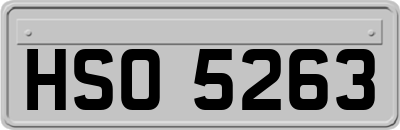 HSO5263