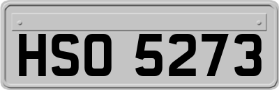 HSO5273