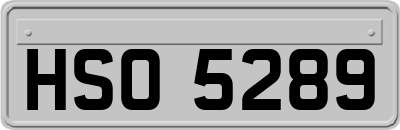 HSO5289