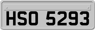 HSO5293