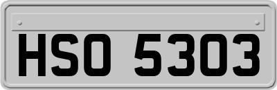 HSO5303