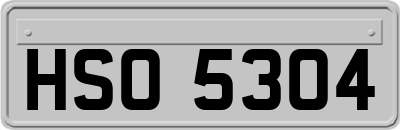 HSO5304