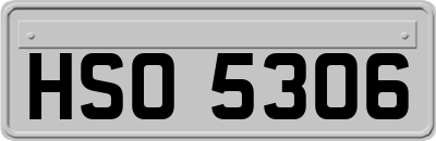 HSO5306