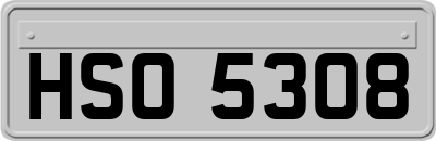 HSO5308