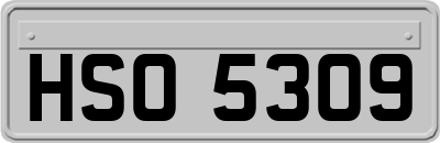 HSO5309